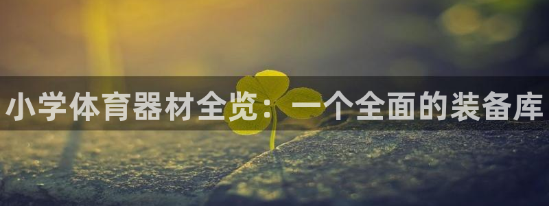 星欧娱乐平台怎么样啊可靠吗：小学体育器材全览：一个全面的装备