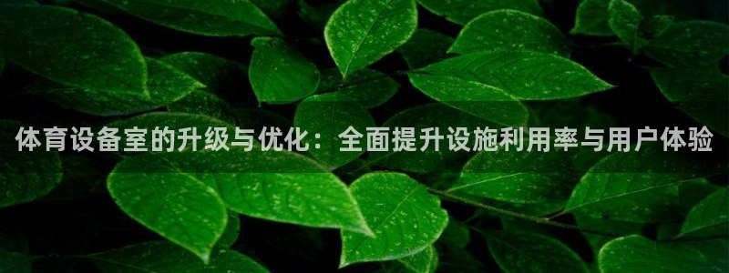 星欧娱乐的创始人背景故事简介：体育设备室的升级与优化：全面提