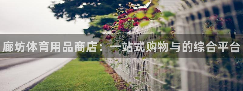 星澳娱乐公司怎么样：廊坊体育用品商店：一站式购物与的