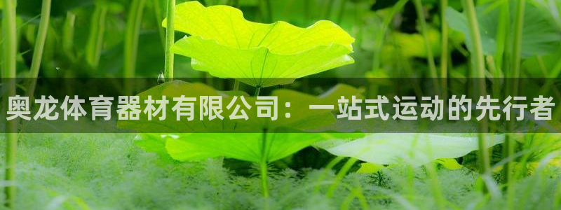 星娱乐包月是干嘛的：奥龙体育器材有限公司：一站式运动的先行者