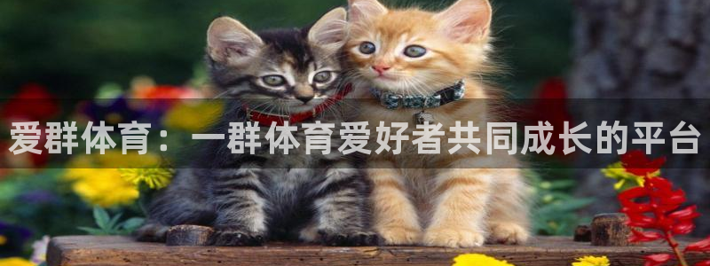 星奥娱乐集团股份有限公司：爱群体育：一群体育爱好者共同成长的