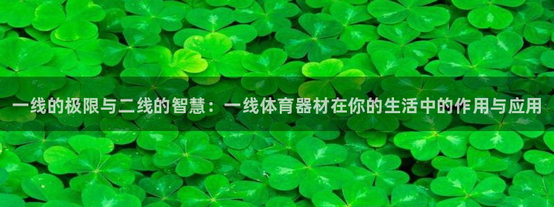 星欧娱乐官网首页入口：一线的极限与二线的智慧：一线体育器材在